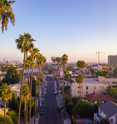 beverly-hills