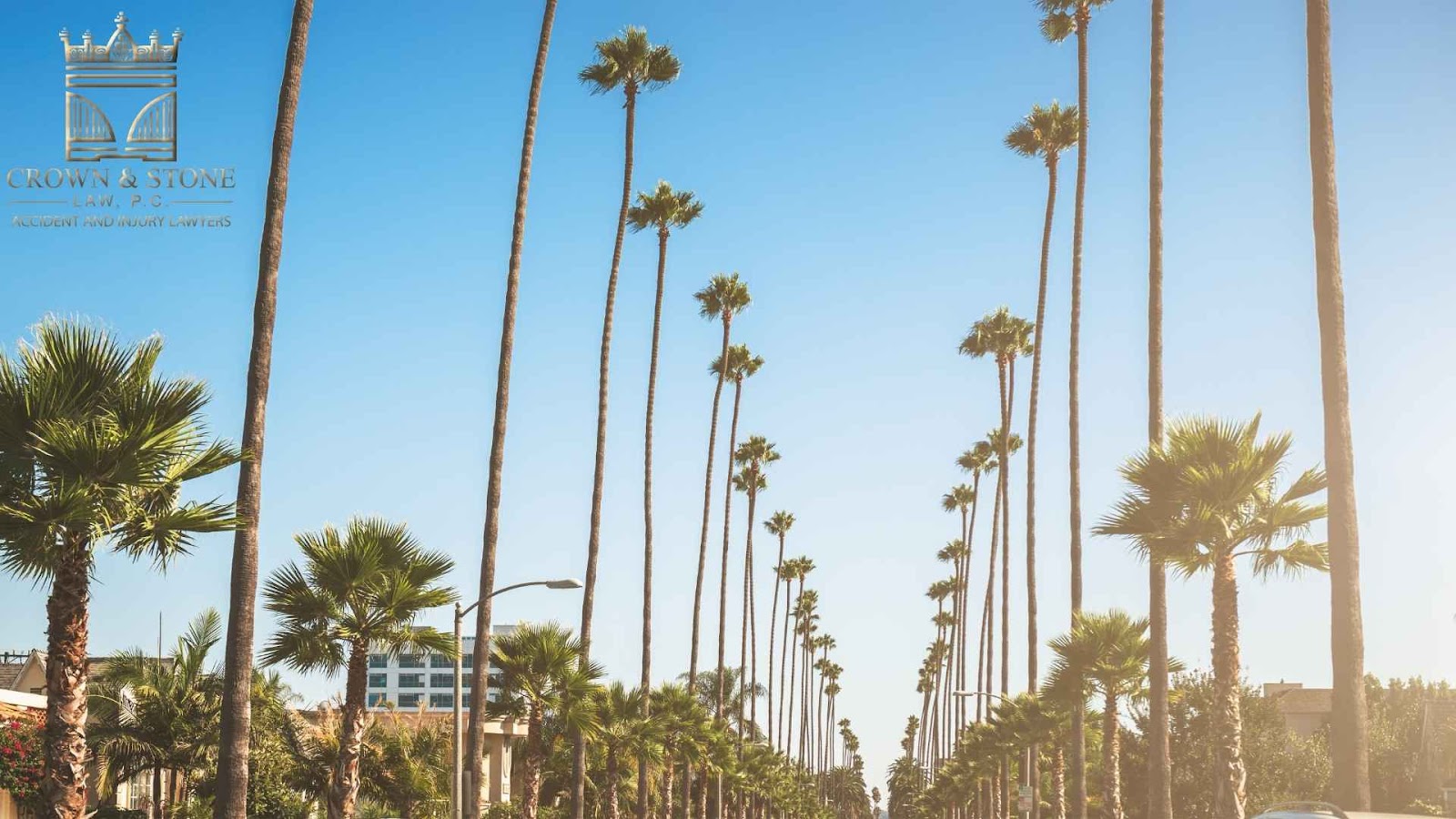 Tall palm trees line sunny street