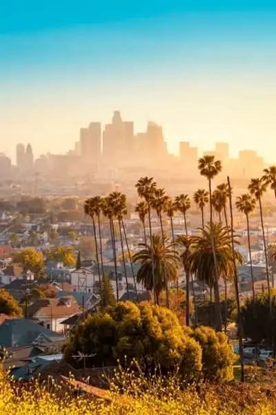 los-angeles-lawyer-mob
